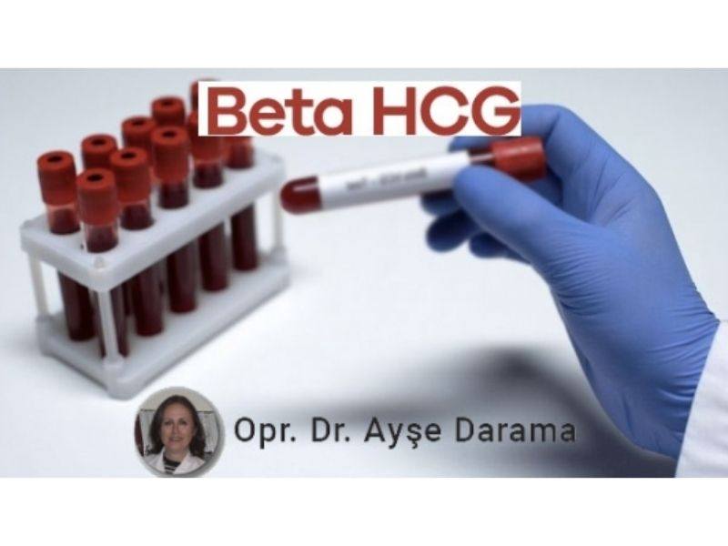 beta-hcg-nedir