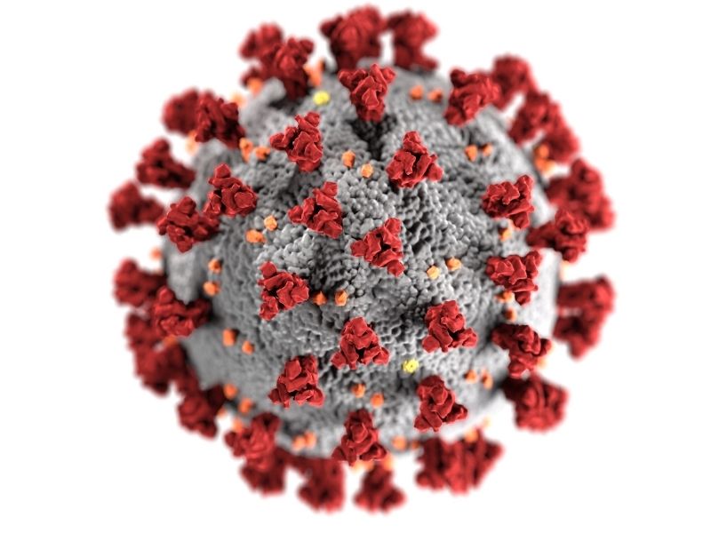 hpv-virusu-pozitif-olan-kadinlar-ne-siklikla-kontrole-gitmelidir